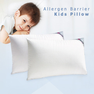 物理性防蹒雪肌枕